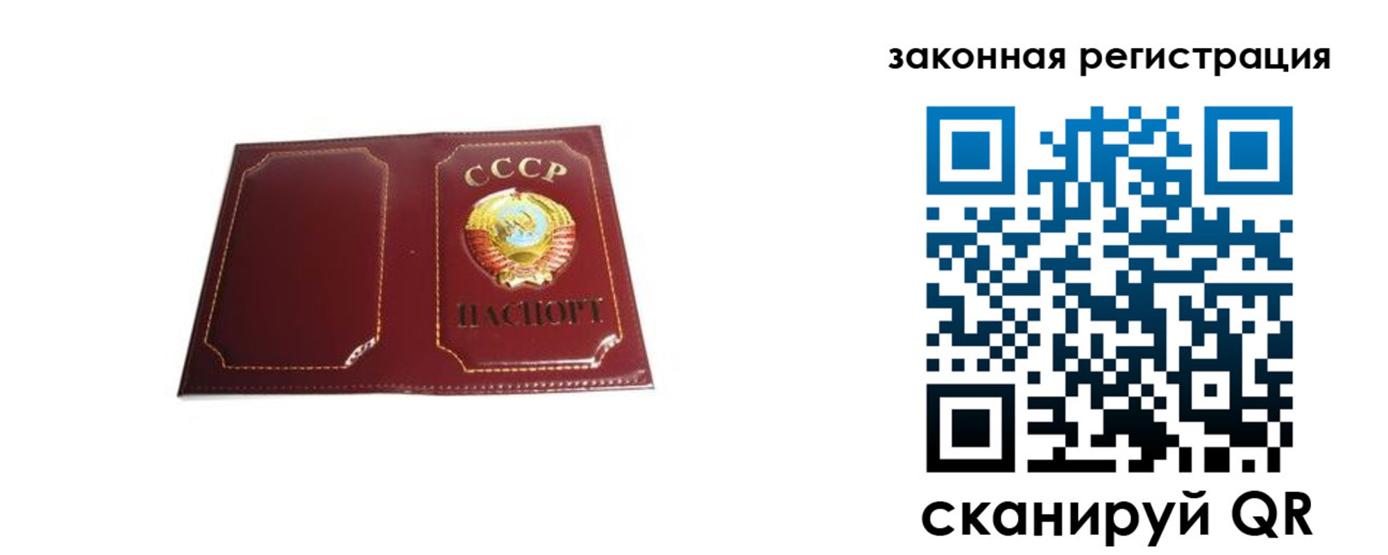 прописка поиск в Златоусте